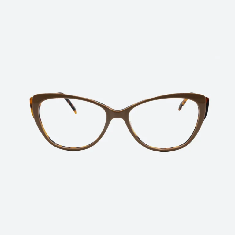01 Montura de lentes OP119