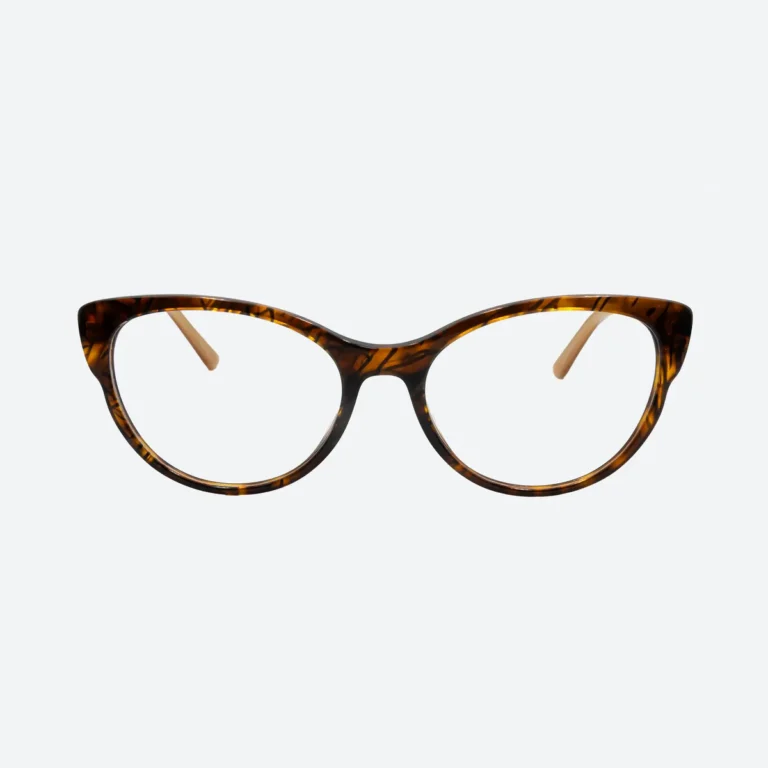 01 Montura de lentes OP133